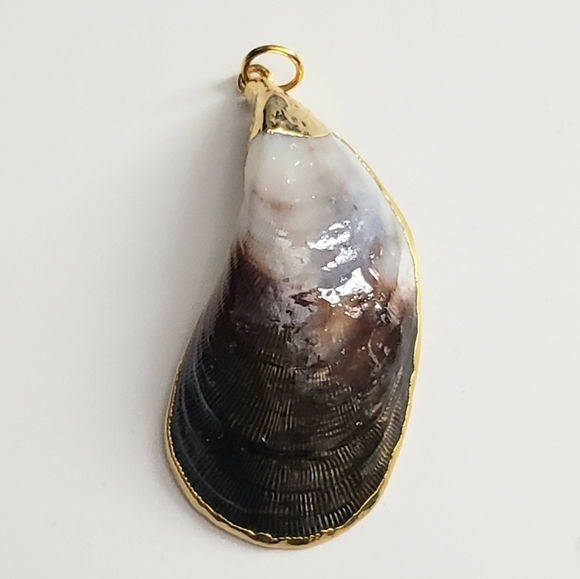 Seashell Pendant with Gold Edging. No Chain - Picture 5 of 6